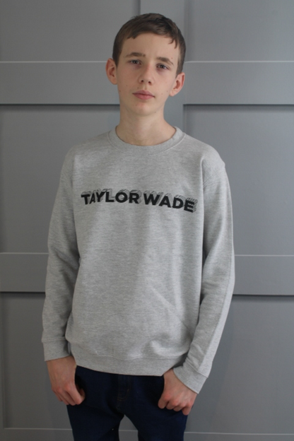 Boys shadow print Grey sweatshirt